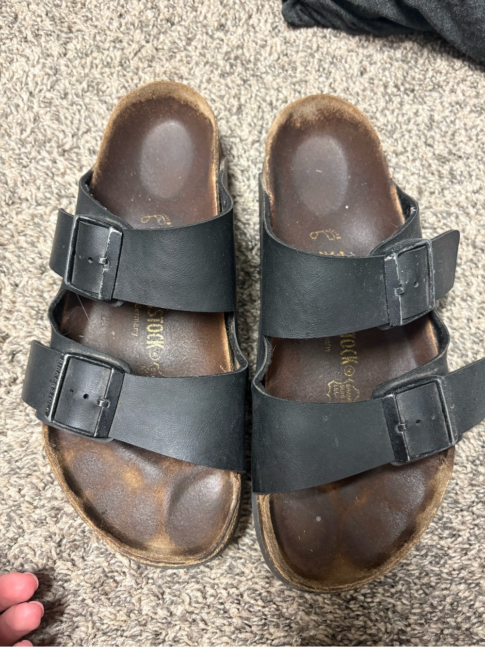 Arizona Birkenstock